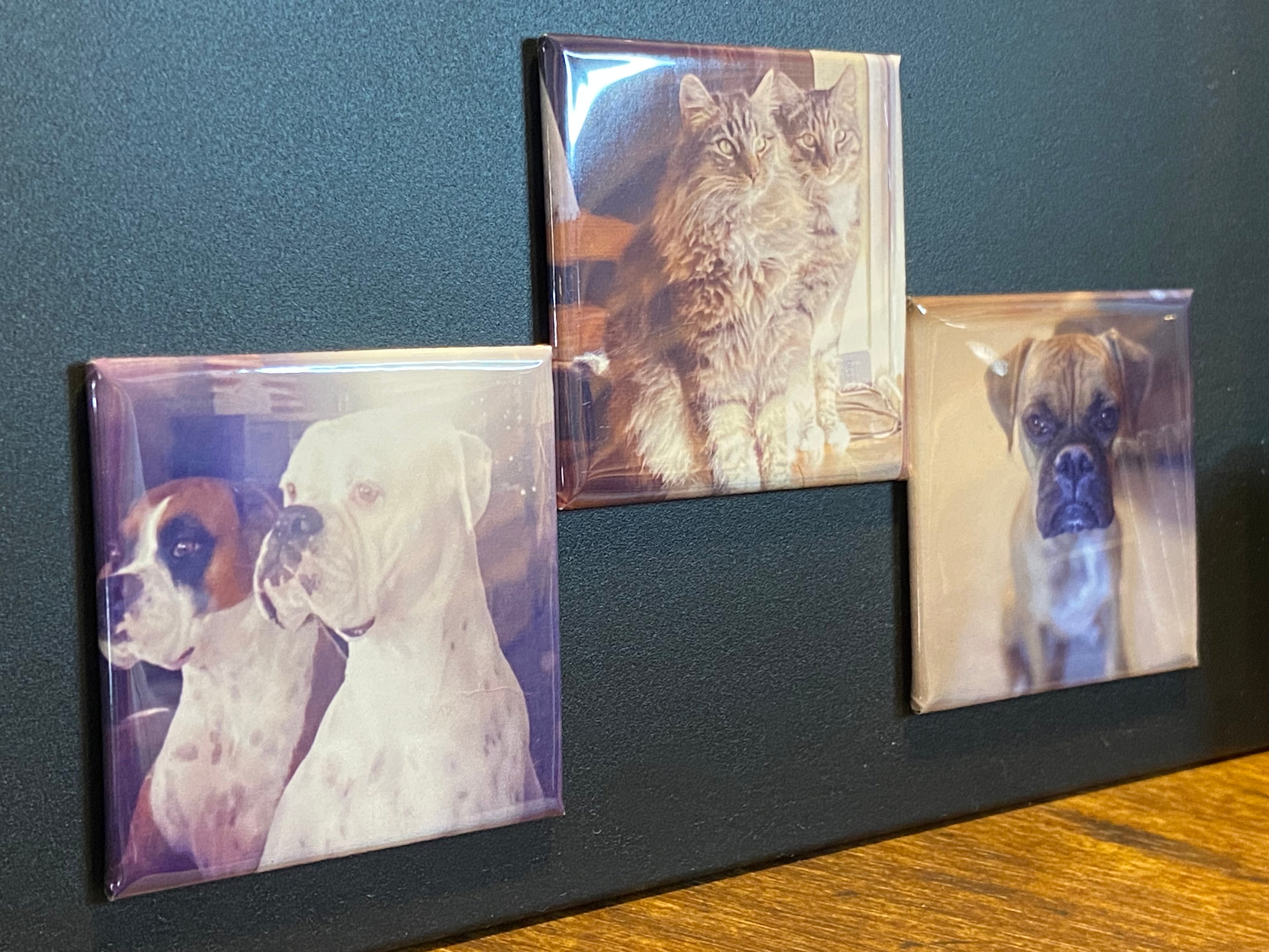 Set of Three Photo Magnets - 2" x 2"